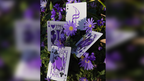 Dream of Butterflies by YD Cards by Murphy's Magic Supplies, Inc.