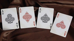 WANQUAN Playing Cards by Murphy's Magic Supplies, Inc.