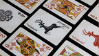 WANQUAN Playing Cards by Murphy's Magic Supplies, Inc.