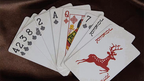 WANQUAN Playing Cards by Murphy's Magic Supplies, Inc.