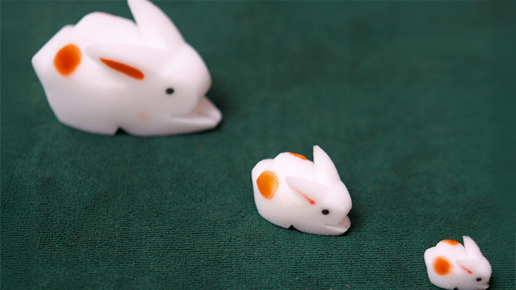 The Bunnies! 3D Rabbits (Parents, Kids & Grandpa) by Murphy's Magic Supplies, Inc.