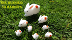 The Bunnies! 3D Rabbits (Parents, Kids & Grandpa) by Murphy's Magic Supplies, Inc.