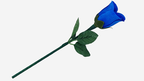 Reborn Rose by JL Magic by Murphy's Magic Supplies, Inc.