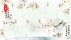 Bicycle Seasons (Winter Edition) Playing Cards by Murphy's Magic Supplies, Inc.