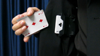 Dual-Deck Holder by Geek John Magic and JT Magic by Murphy's Magic Supplies, Inc.