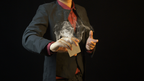 Stage Card Effect System by Menzi Magic & Zhao Xinyi by Murphy's Magic Supplies, Inc.