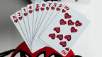 HOSOI HAMMERHEAD 40 YEARS PEARL FOIL PLAYING CARDS by Murphy's Magic Supplies, Inc.