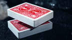 Leviti Deck by PITATA by Murphy's Magic Supplies, Inc.