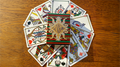 VaivorykÅ¡te (Limited Edition) Playing Cards