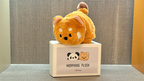 Morphing Plush (Panda to Raccoon) by Jackie Zhao and JT Magic by Murphy's Magic Supplies, Inc.