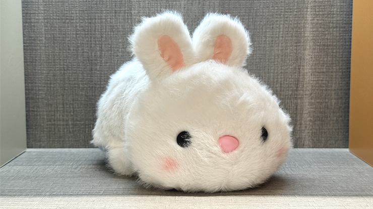 Morphing Plush (Elephant to Rabbit Large) by Jackie Zhao and JT Magic by Murphy's Magic Supplies, Inc.