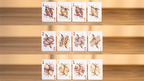 Bicycle Mascot (Roc) Playing Cards by Murphy's Magic Supplies, Inc.