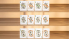 Bicycle Mascot (White Marsh) Playing Cards by Murphy's Magic Supplies, Inc.