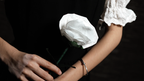 Fantasy Rose by Leon, Bond Lee & MS Magic by Murphy's Magic Supplies, Inc.