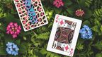 Affection Playing Cards by WohStudios by Murphy's Magic Supplies, Inc.