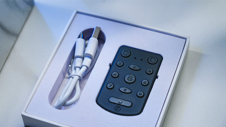 PITATA Palm Remote by Murphy's Magic Supplies, Inc.