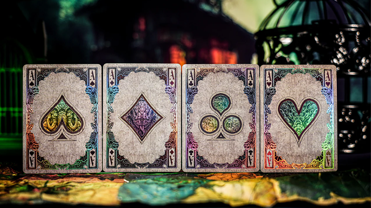 Keyhole Reflections on the Wall Playing Cards by Fashion TCC by Murphy's Magic Supplies, Inc.