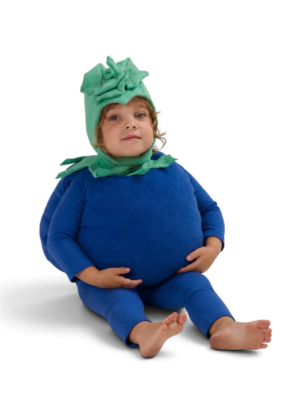 Baby Blueberry Halloween Costume by Band of the Wild