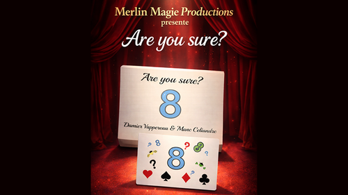 Are You Sure? by Damien Vappereau and Marc CÃ©liandre by Murphy's Magic Supplies, Inc.