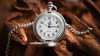 The Gemini Watch by TCC Magic & Chen Yang by Murphy's Magic Supplies, Inc.