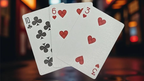 Biker Dogs Playing Cards by Collectable Playing Cards by Murphy's Magic Supplies, Inc.