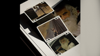 MIKE BRODIE APOJP PHOTOGRAPHIC PLAYING CARDS by Murphy's Magic Supplies, Inc.