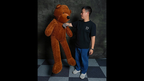 Teddy Bear Appearance (Extra Large) by MS Magic by Murphy's Magic Supplies, Inc.