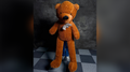 Teddy Bear Appearance (Extra Large) by MS Magic by Murphy's Magic Supplies, Inc.