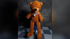 Teddy Bear Appearance (Extra Large) by MS Magic by Murphy's Magic Supplies, Inc.