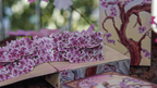 Sakura Renaissance 3D Pop-up Sunlight Edition Playing Cards by Murphy's Magic Supplies, Inc.