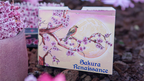 Sakura Renaissance 3D Pop-up Sunlight Edition Playing Cards by Murphy's Magic Supplies, Inc.