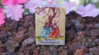 Sakura Renaissance Sunlight Standard Edition Playing Cards by Murphy's Magic Supplies, Inc.