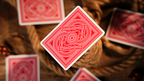 The Hidden Code by Craig Petty by Murphy's Magic Supplies, Inc.