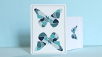 Butterfly Try-All V2 Playing Cards by Murphy's Magic Supplies, Inc.