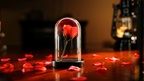 The Quantum Dome by Mai Bro & TCC Magic by Murphy's Magic Supplies, Inc.