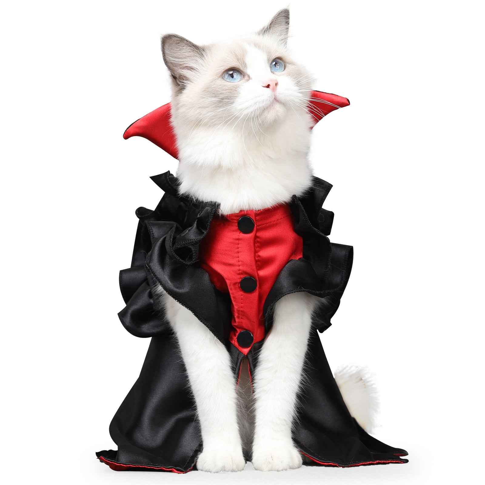 Cat Halloween Vampire Transformation Costume by Pet Zen