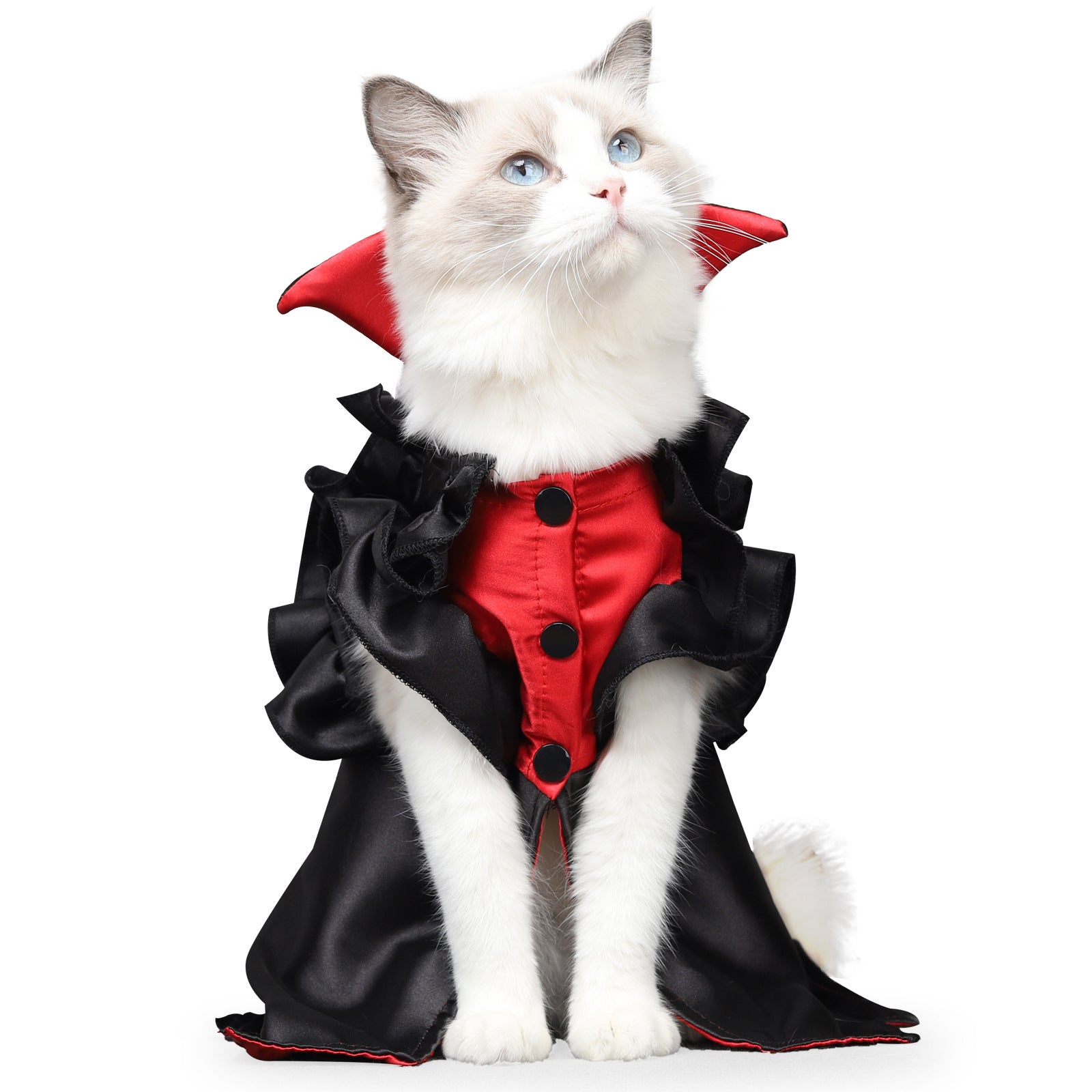 Cat Halloween Vampire Transformation Costume by Pet Zen