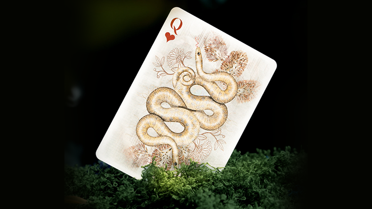Moooi Collector's Edition (Memento Moooi) by theory11 by Murphy's Magic Supplies, Inc.