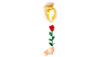 Instant Rose by Vincenzo DiFatta by Murphy's Magic Supplies, Inc.