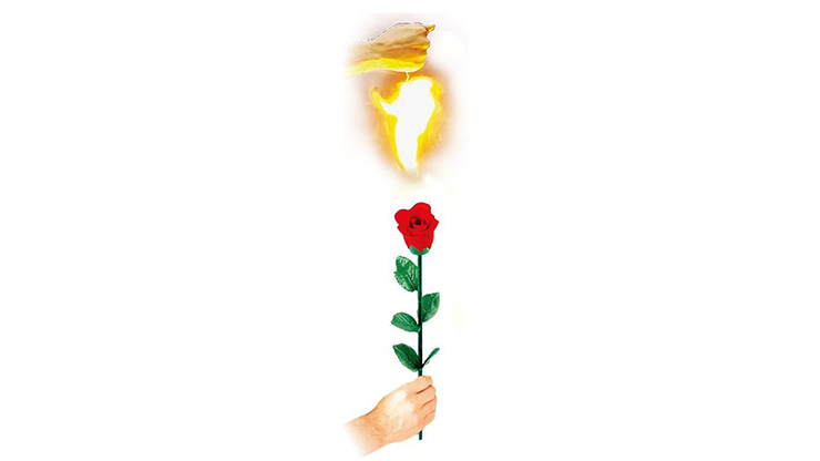 Instant Rose by Vincenzo DiFatta by Murphy's Magic Supplies, Inc.