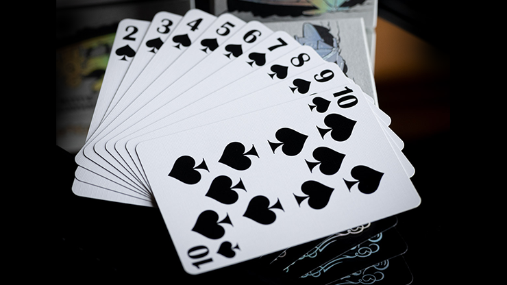 FULTON PRESENTS STEAMBOAT WILLIE PLAYING CARDS by Murphy's Magic Supplies, Inc.