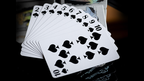 FULTON PRESENTS STEAMBOAT WILLIE PLAYING CARDS by Murphy's Magic Supplies, Inc.