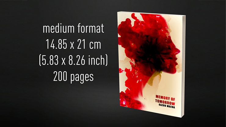 Babel Book Test 4 by Vincent Hedan (Memory of tomorrow), medium, 600 pages by Murphy's Magic Supplies, Inc.