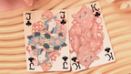 Standard Edition Alice's Adventures in Wonderland (Gekan) by Murphy's Magic Supplies, Inc.