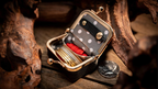 Coin Bag by TCC Magic
