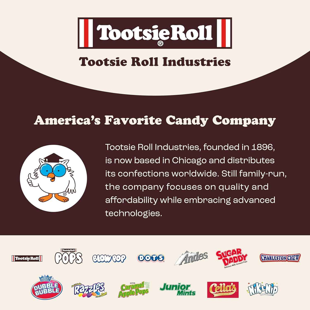 Tootsie Roll Childs Play Candy Favorites - Made in USA - 5 Pounds of Individually Wrapped Party Candy - Funtastic Variety Mix Bag - Peanut Free, Gluten Free (5 Pounds)