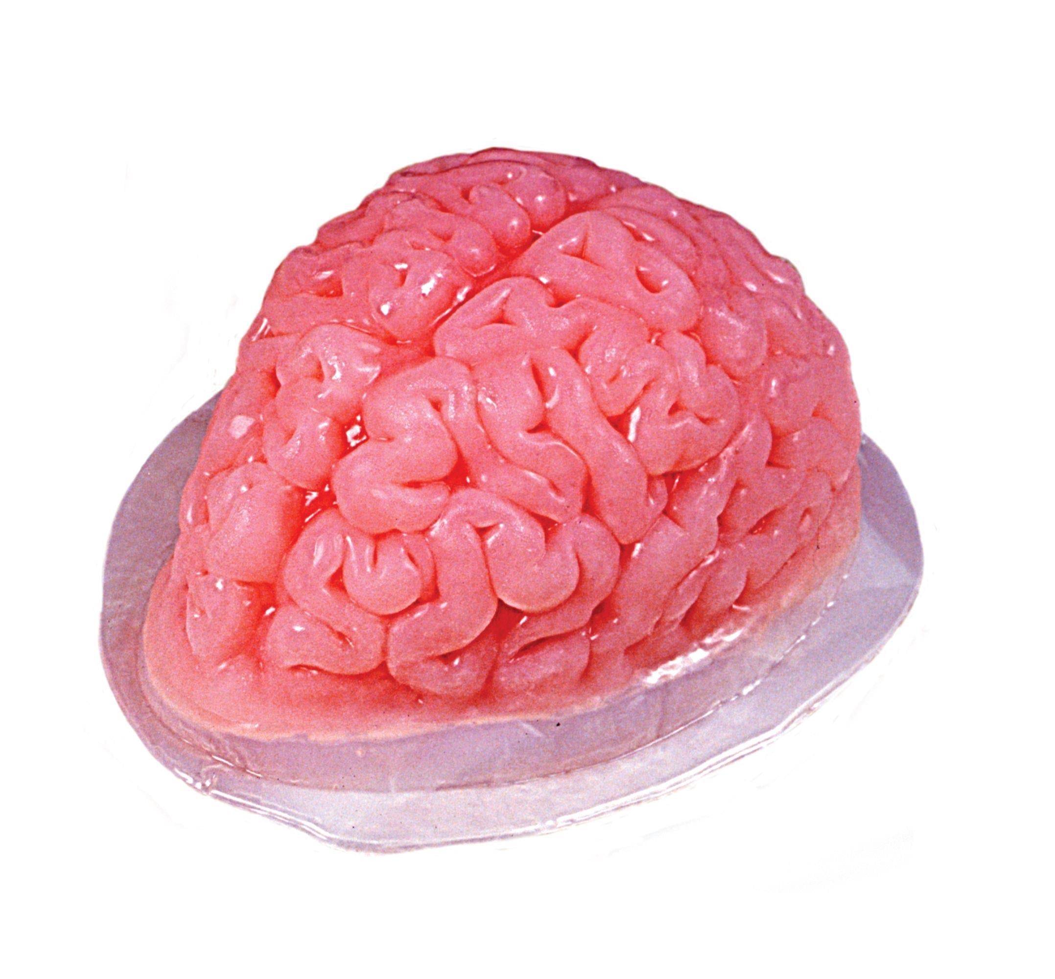 Brain Body Part Gelatin Jello Mold Haunted Halloween House Prop by HalloweenStore.com
