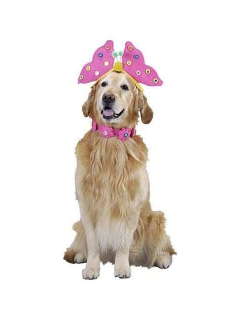 Butterfly Dog Costume by Masquerade