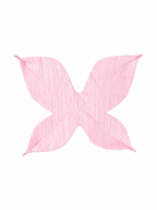 Pink fairy wings by Band of the Wild
