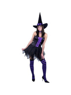 Adult Pixie Witch Costume by Masquerade